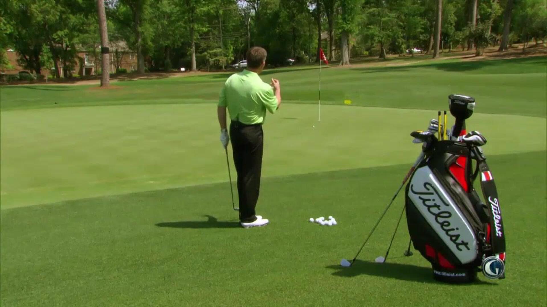 The Golf Fix: Breeds Basics-masters