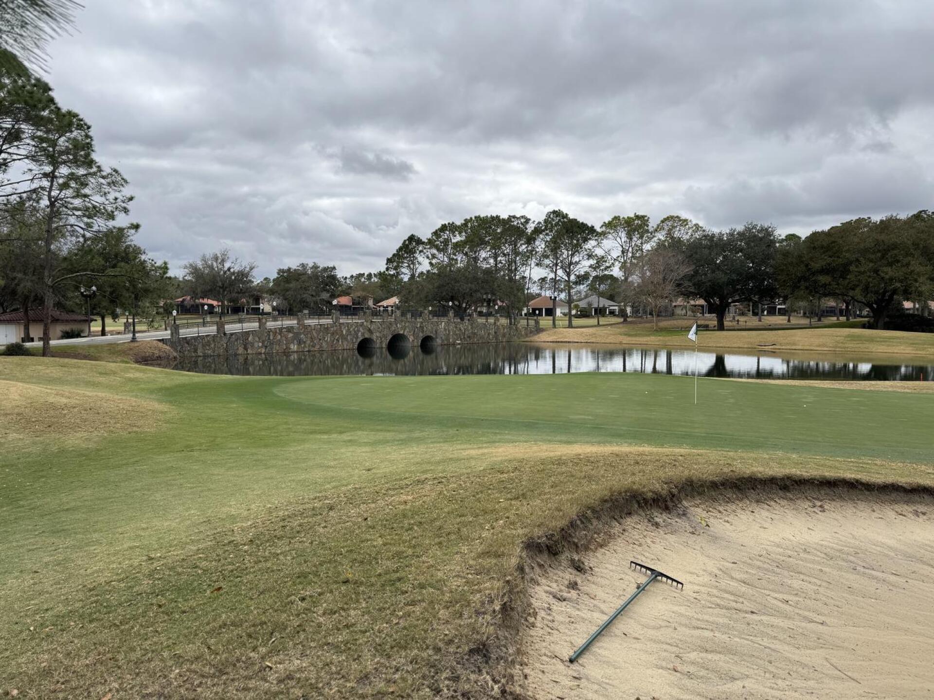 (Photo submitted by null on 02/18/2026)