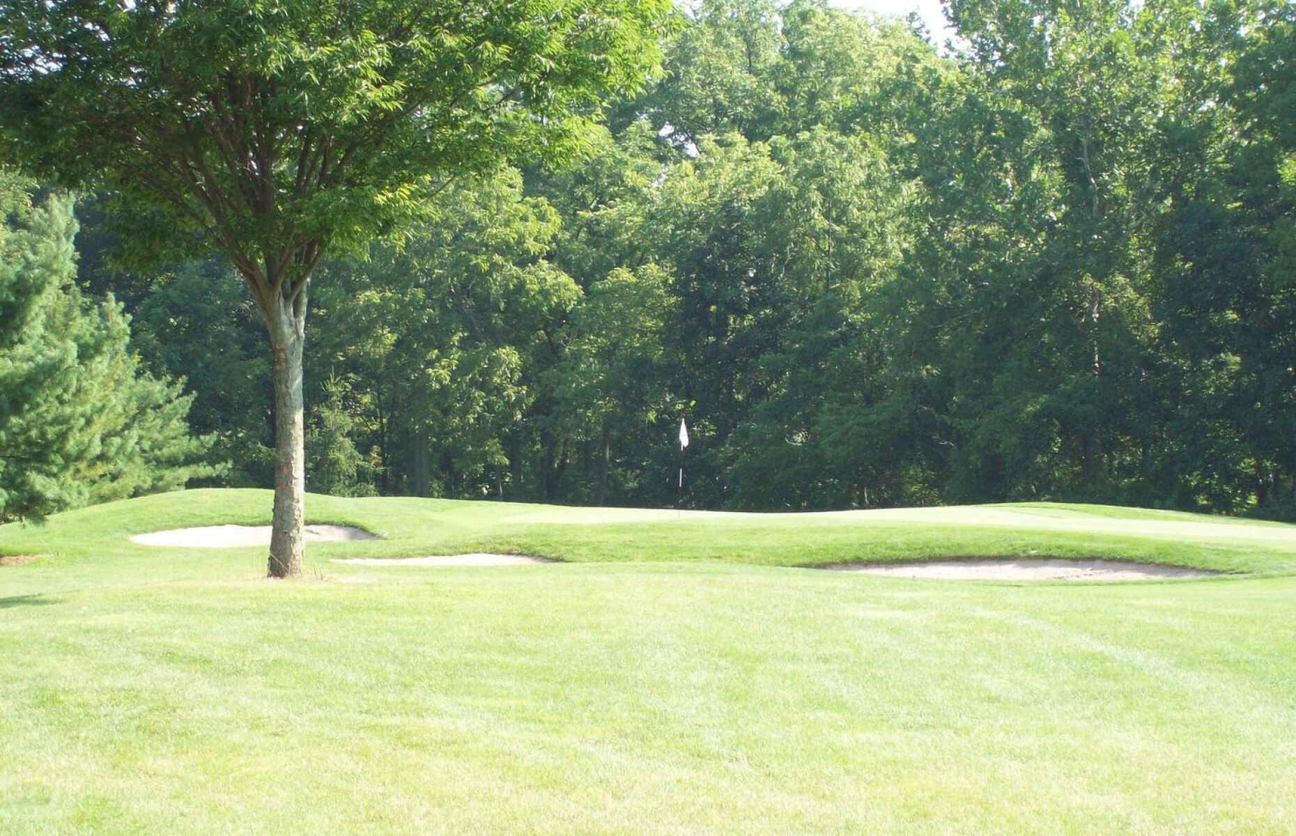 Lake Presidential Golf Clubs Review [pros & Cons] PXG Golf Club Review