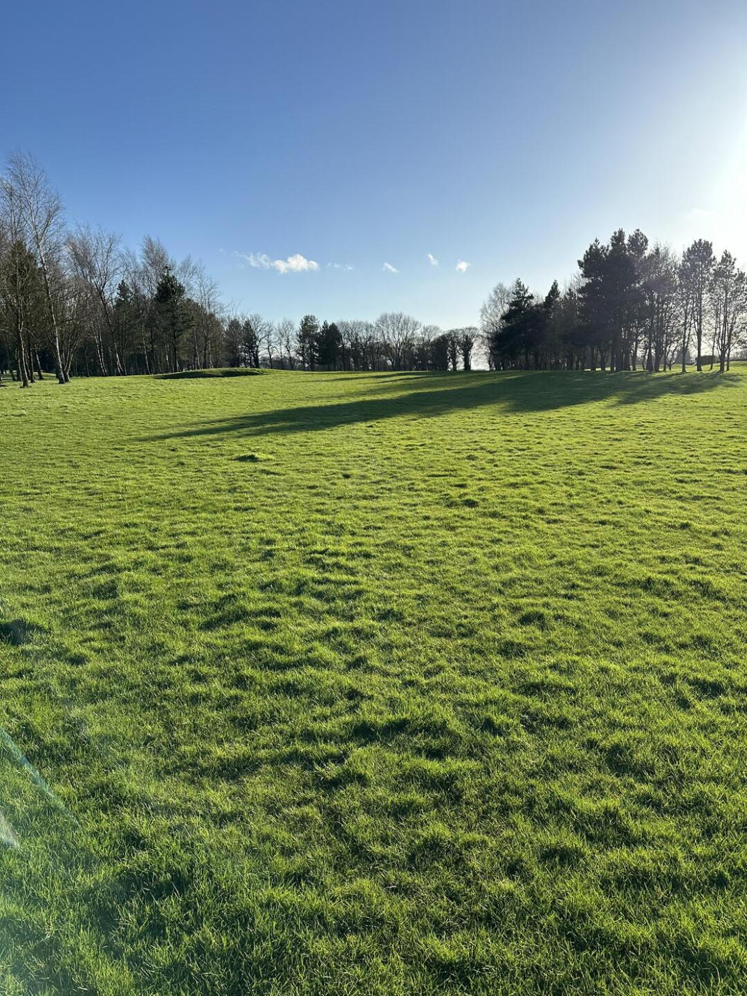 “Fairway” (Photo submitted by u791200452 on 03/24/2024)