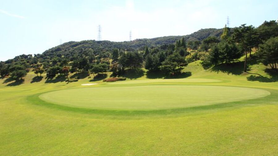 Shinan CC - Apple: #2