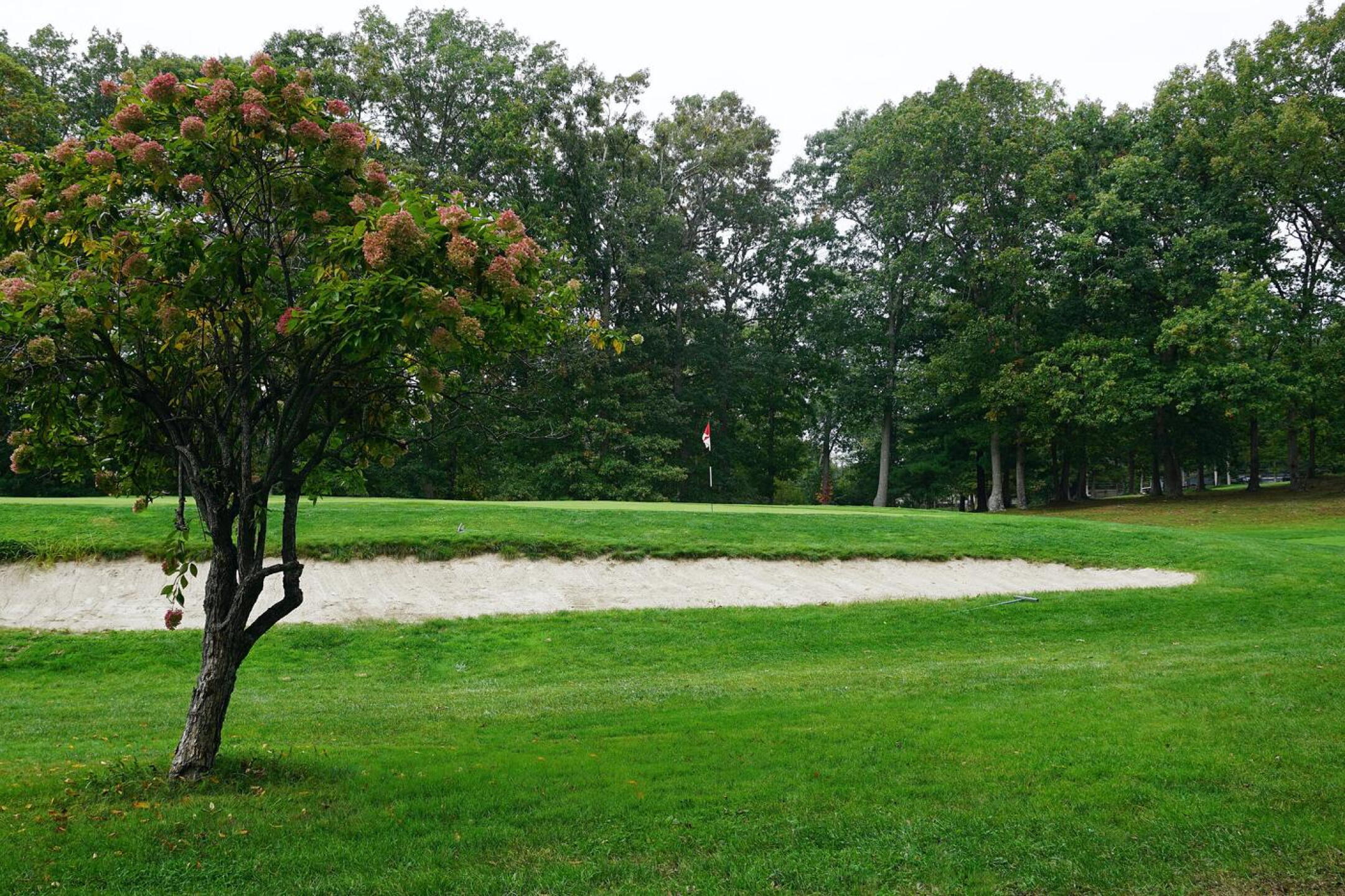Fourteen from the side. Par-3, 170. The elevated, double-bunkered green means a challenge from the tee--and another if you miss it in regulation. (Photo submitted by AptlyLinked on 10/10/2021)