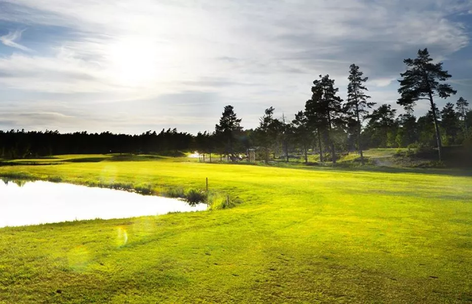 Ingaro GC - Forest