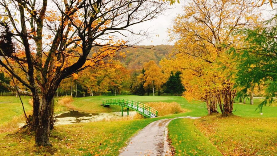 North Valley CC