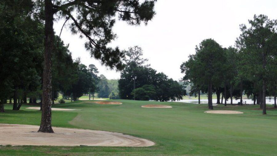 Houston Lake CC: #14