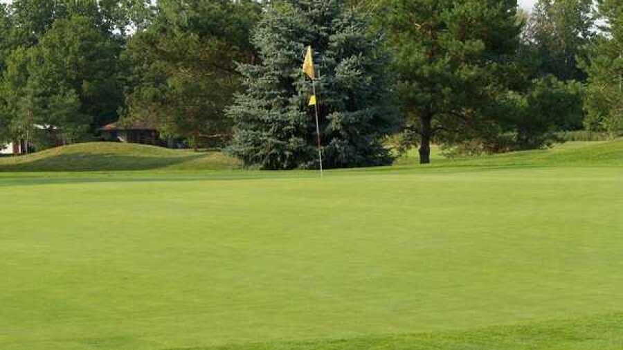 Gold at Pine Valley GC