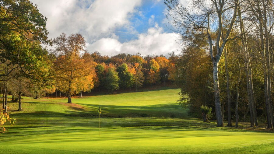 Sandford Springs GC - Wood: #13