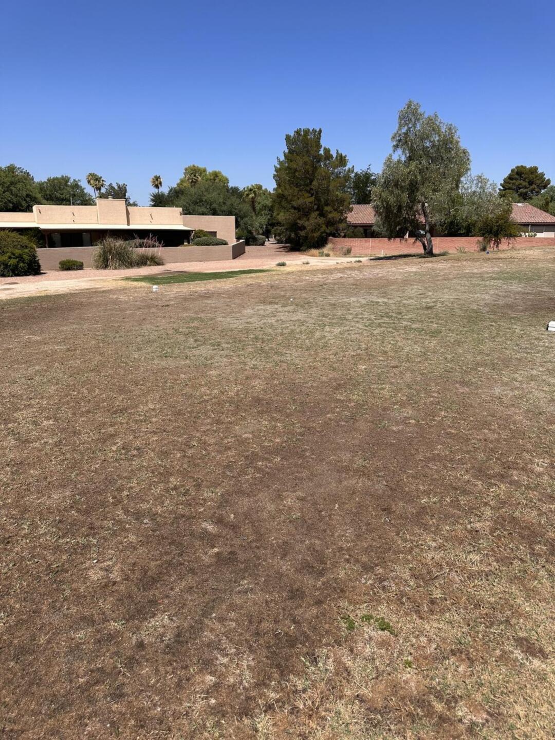 (Photo submitted by devonmicrook on 07/05/2023)