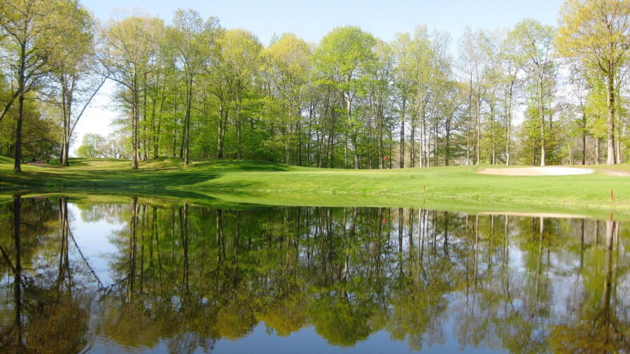 Tallwood CC: #8