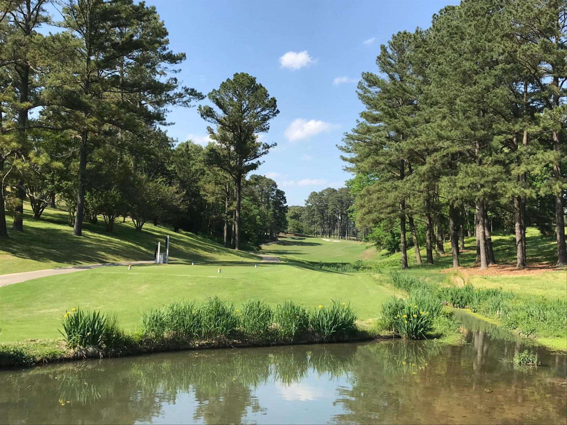 The par-3 17th (Photo submitted by MikeBaileyGolf on 05/13/2019)