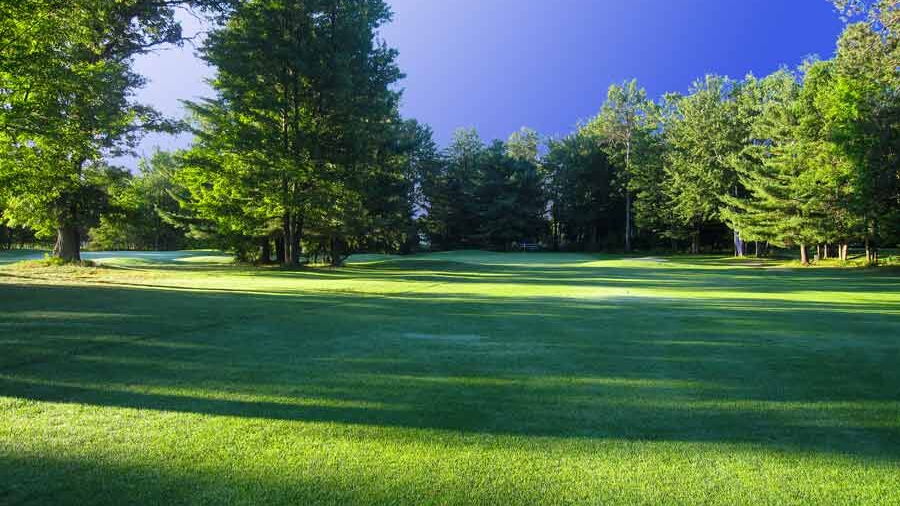 Grayling CC: #13