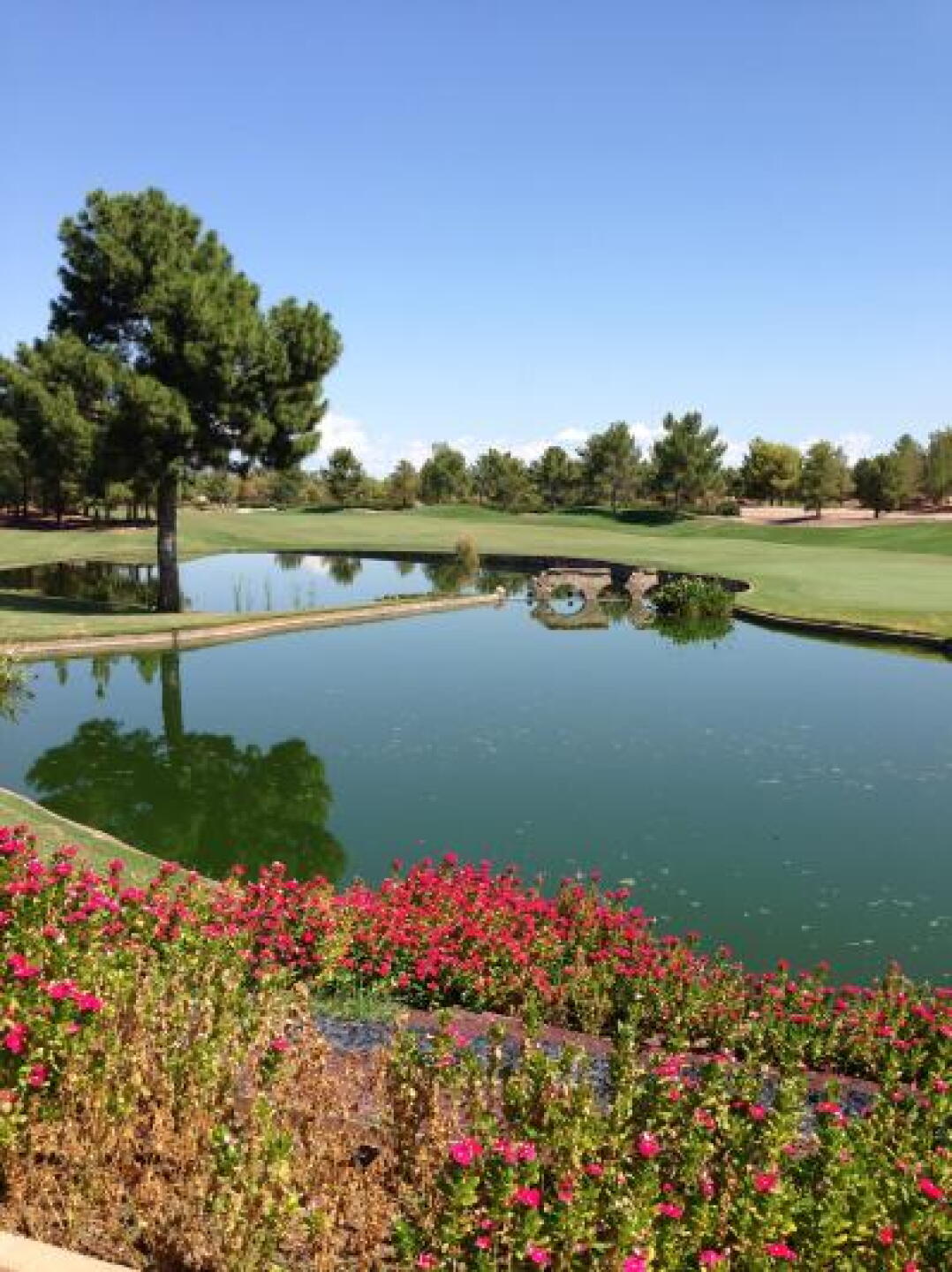 18th hole (Photo submitted by hotsteppa88 on 09/30/2013)