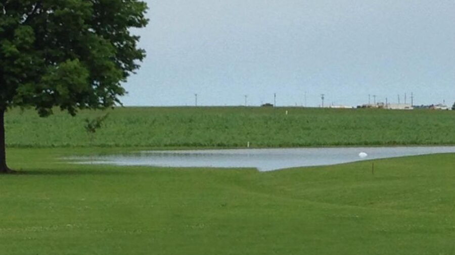 Rolfe GC: #5