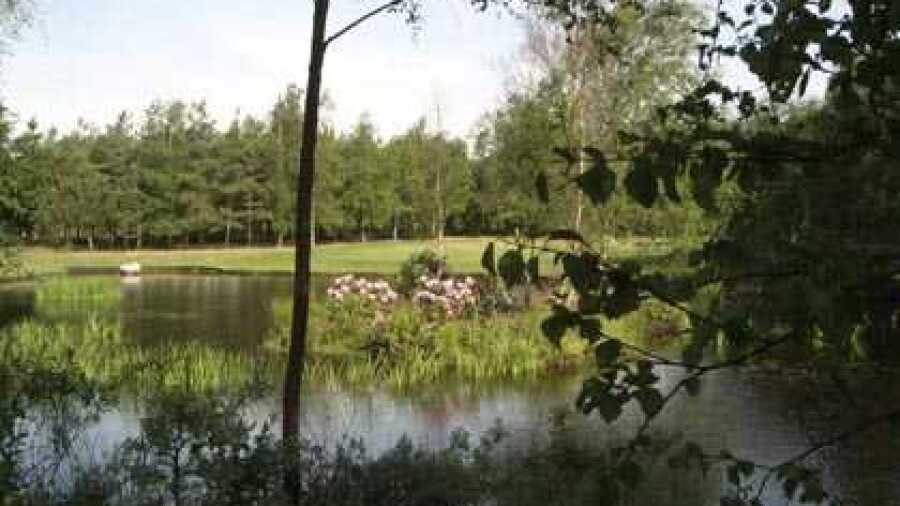 Breinholtgaard GC - Skoven: #7