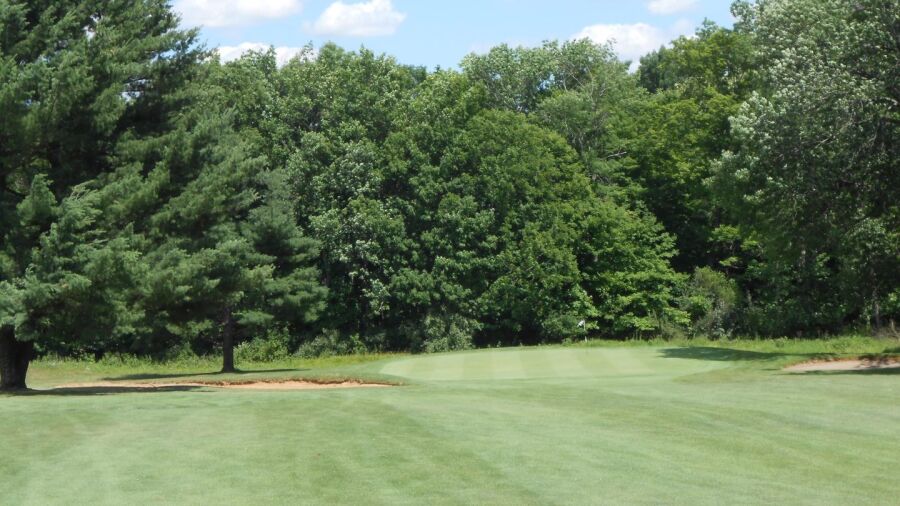 Raccoon International GC