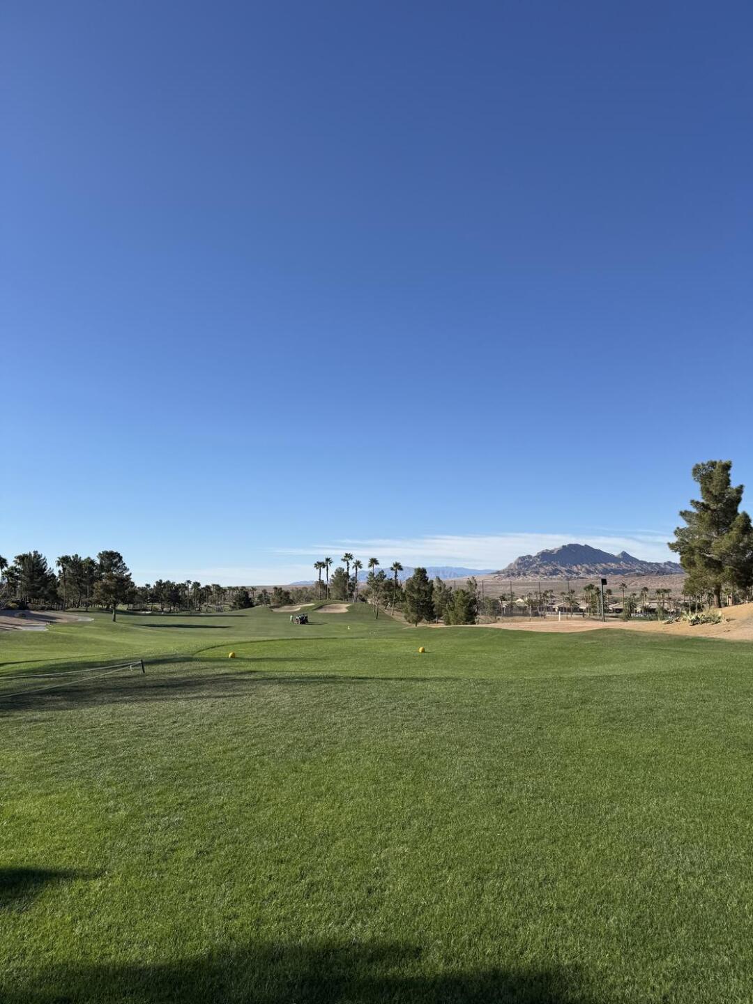 (Photo submitted by Flores92 on 03/15/2026)