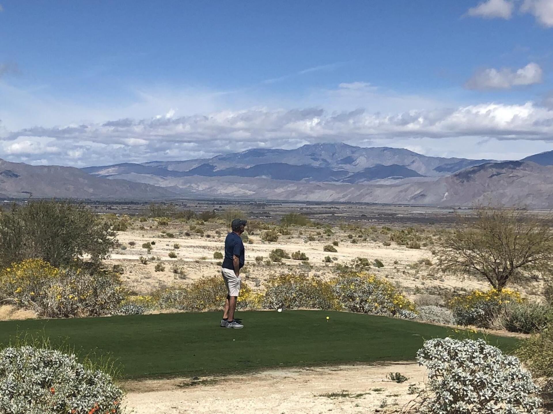 (Photo submitted by nsaqr on 03/22/2023)