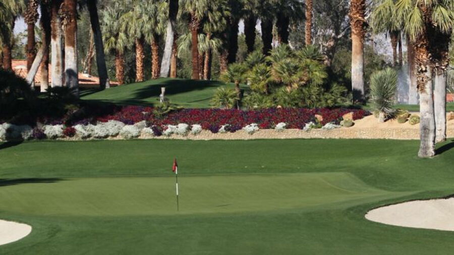Thunderbird CC