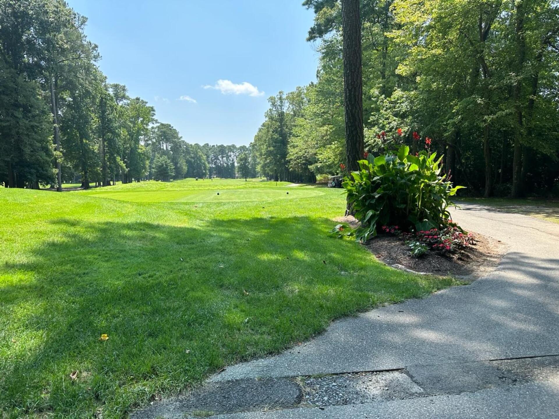 (Photo submitted by Stingray1280 on 08/10/2023)