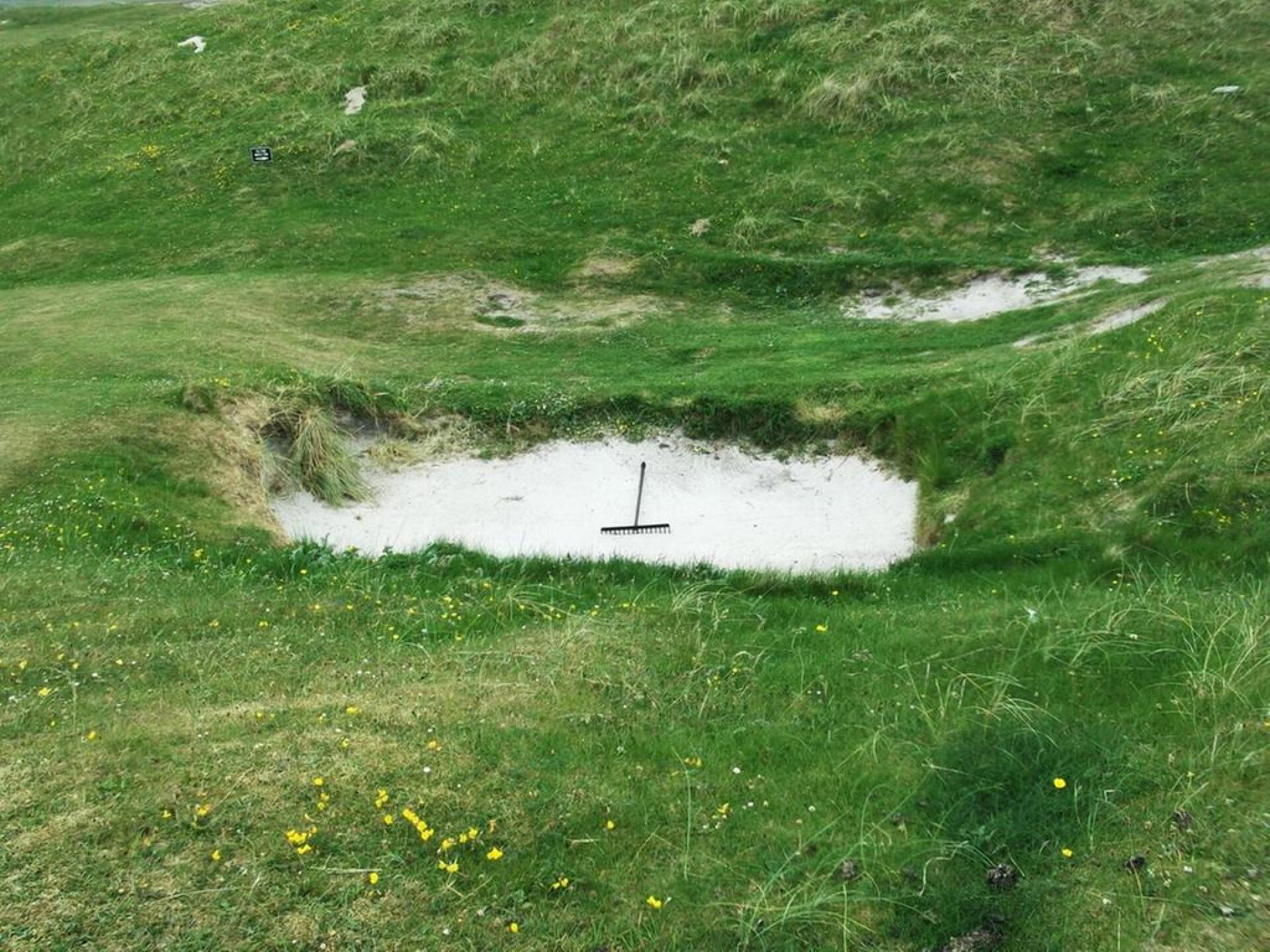 (Photo submitted by Amitbajaj on 10/11/2020)