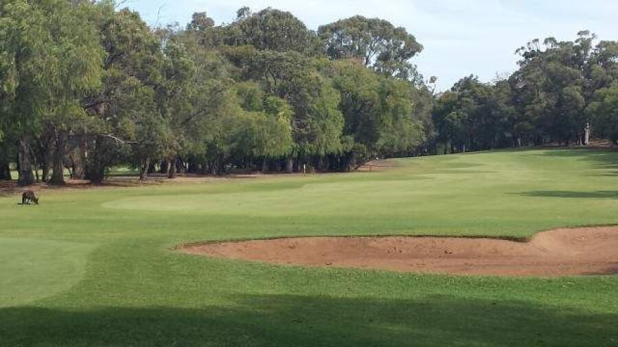 Capel GC