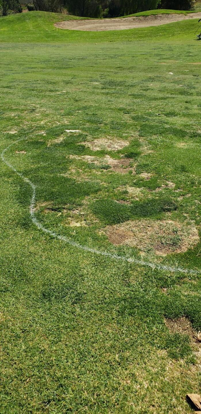 open pic for full view (Photo submitted by itsmelll on 10/04/2020)