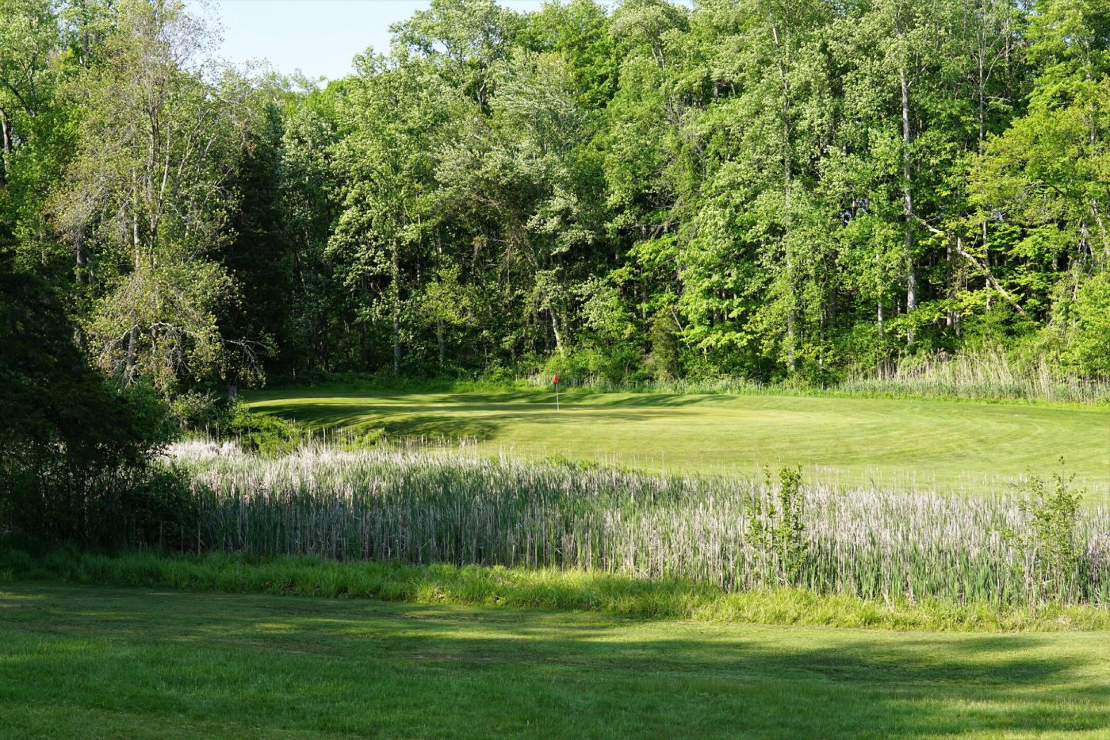 The fifteenth, tucked in the northwest corner of the course, is a solid par-3 playing to a terrace-style green. (Photo submitted by AptlyLinked on 05/20/2023)