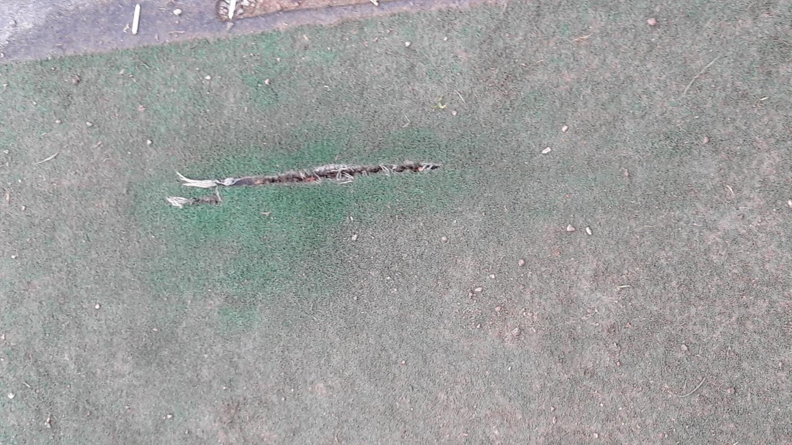 (Photo submitted by LocalKentGolfer on 02/20/2017)