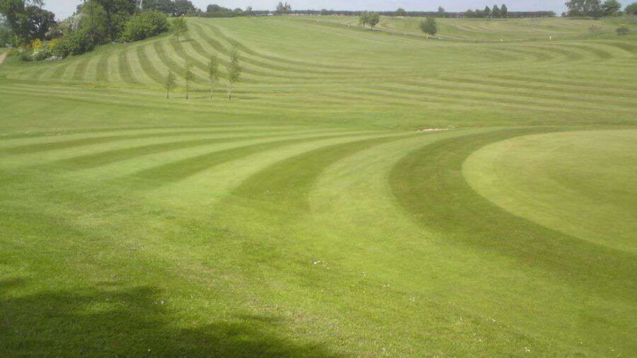 Brucefields Family GC