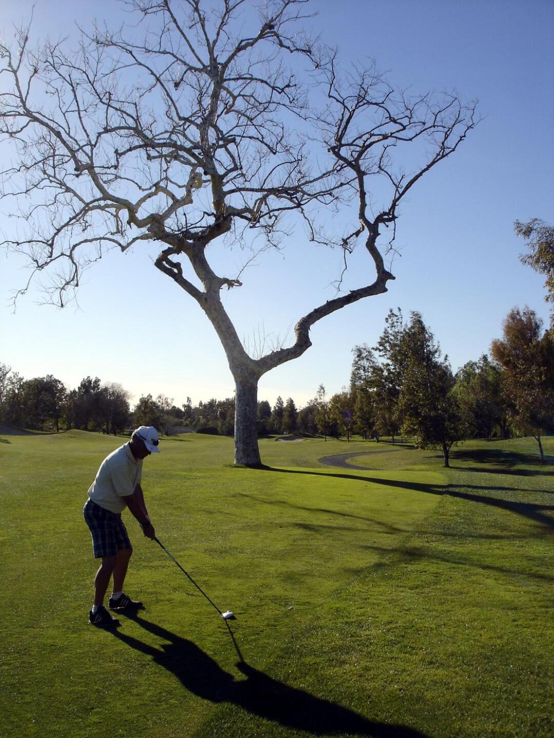 Goose Creek GC, Hole 17, Par 5, 541 yds (Photo submitted by DYakimec on 02/24/2016)