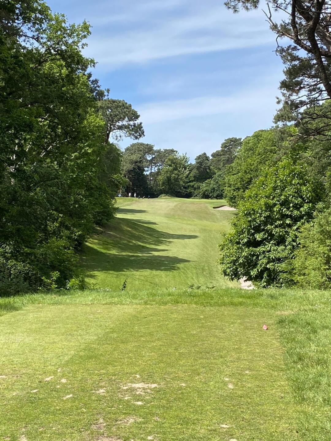 (Photo submitted by willig3 on 06/03/2022)