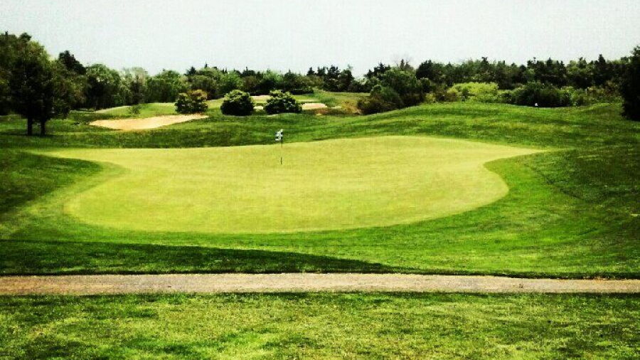 Heritage Links: #8
