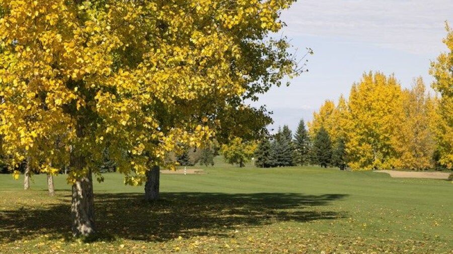Sturgeon Valley GCC