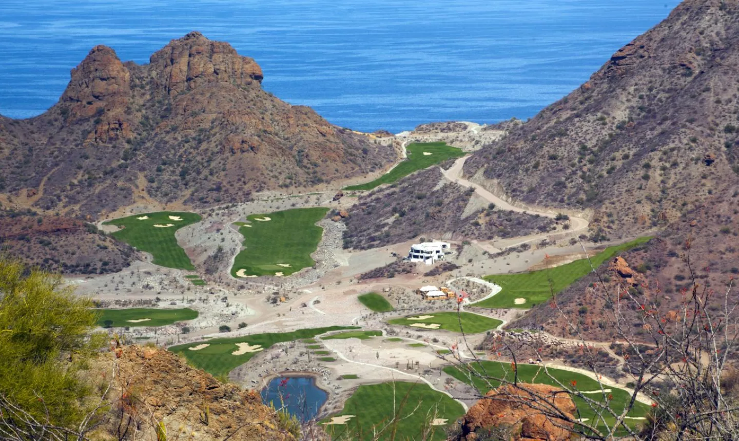 TPC Danzante Bay