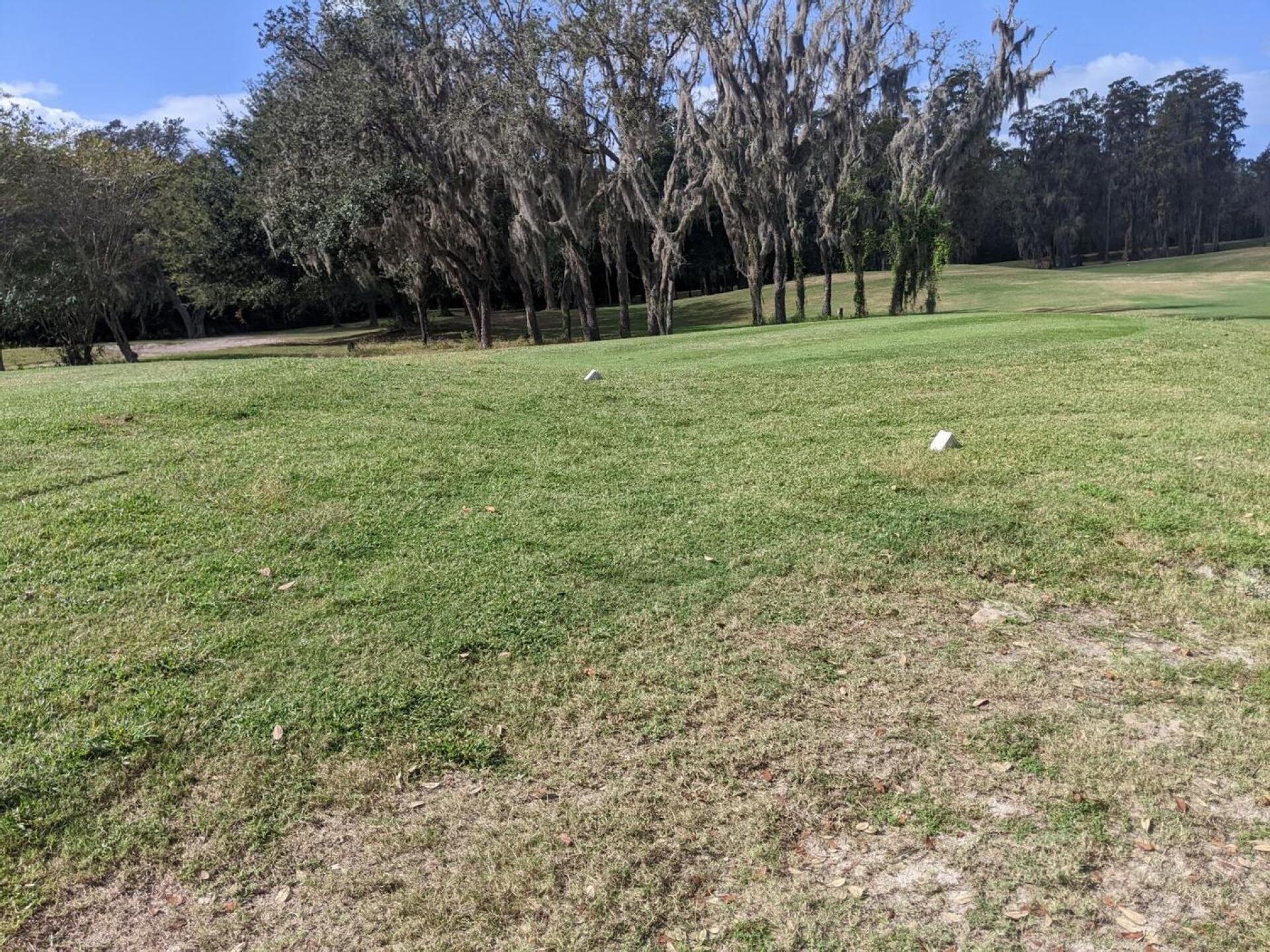 (Photo submitted by pharmboy35 on 12/07/2022)