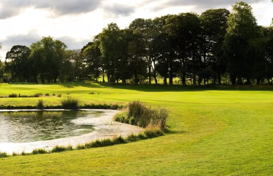 Meldrum House GC: #7