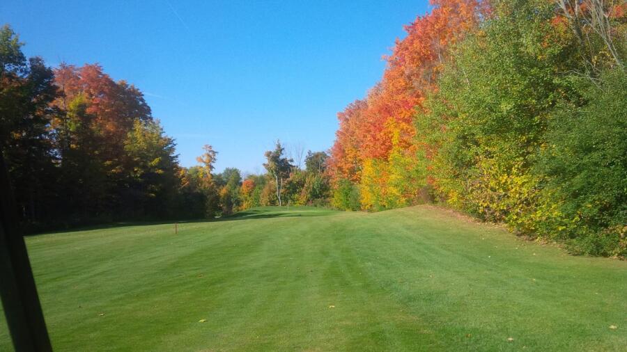 The Fox Golf Club
