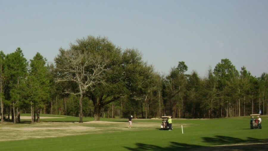 Sunny Hills Golf Club: #17