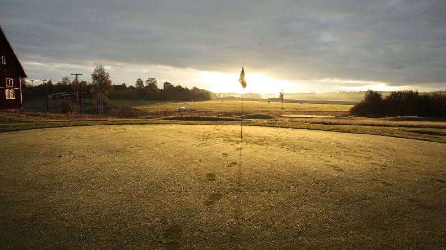 Bravikens GC - Yellow