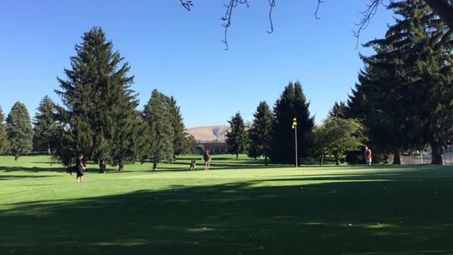 Fisher Park GC