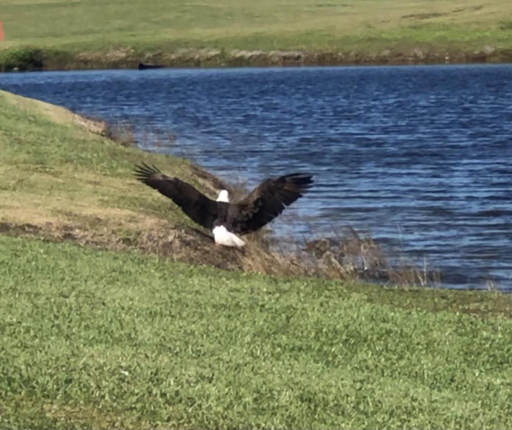 (Photo submitted by karl7274565 on 11/23/2020)