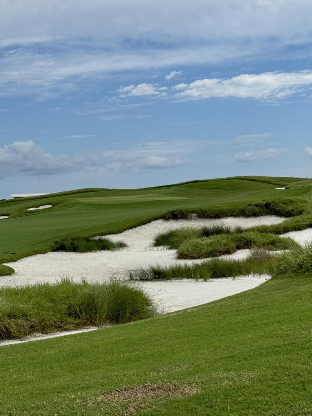 (Photo submitted by kRB3THGviXdZZXowtZ6Y on 10/23/2024)