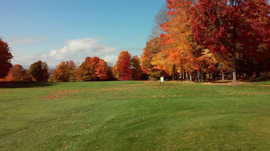 Newport CC