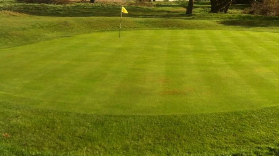 Thames Ditton & Esher GC: #3