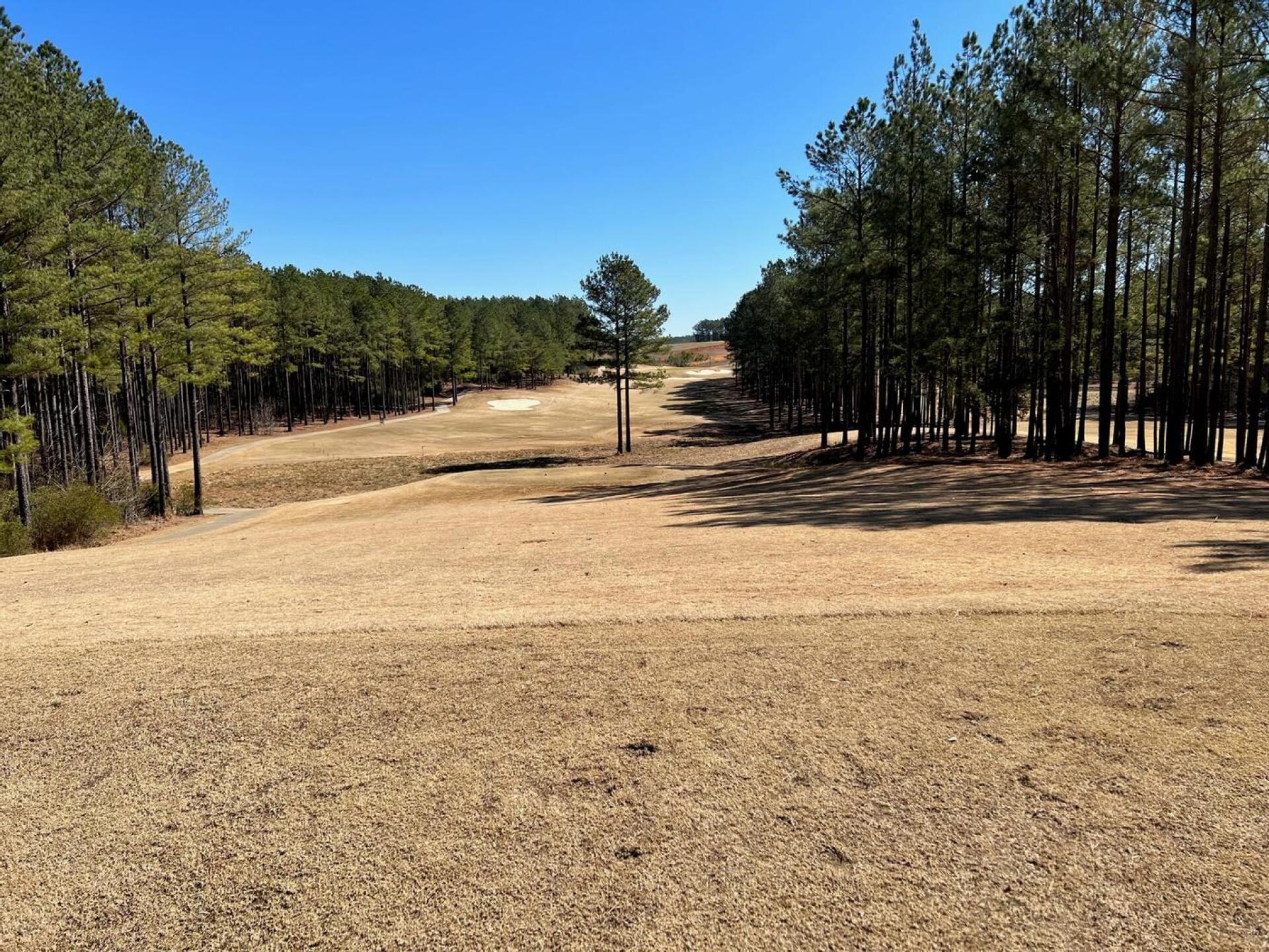 View from tee box on 18 (Photo submitted by u314161218993 on 02/21/2022)