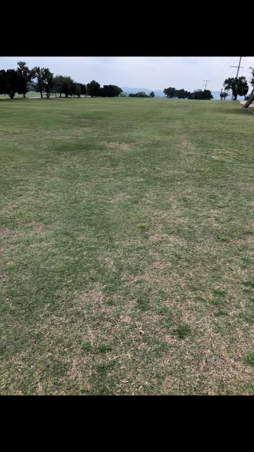 Fairway (Photo submitted by joshsmith12 on 04/24/2019)