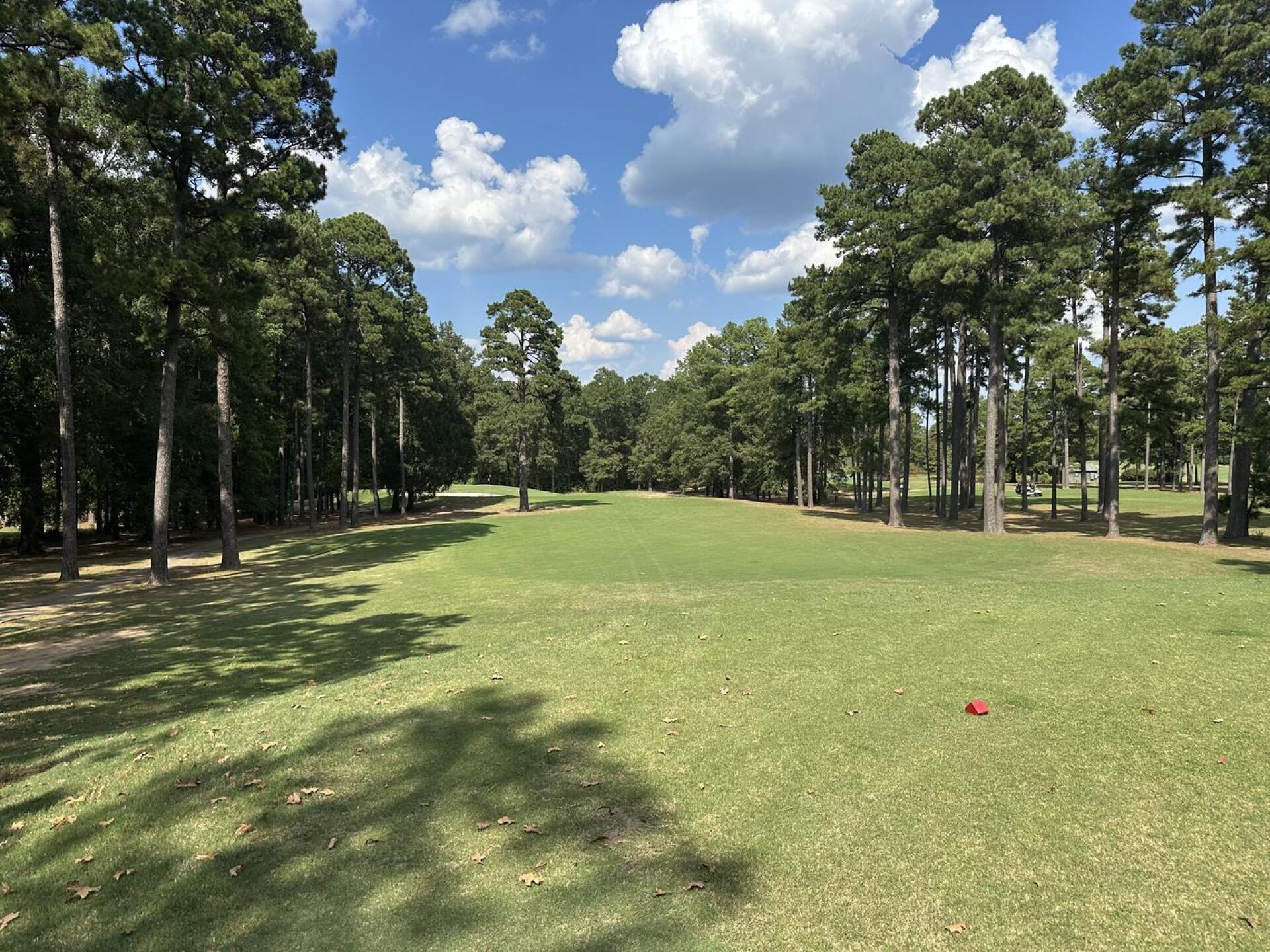 (Photo submitted by Pauli71 on 10/03/2024)