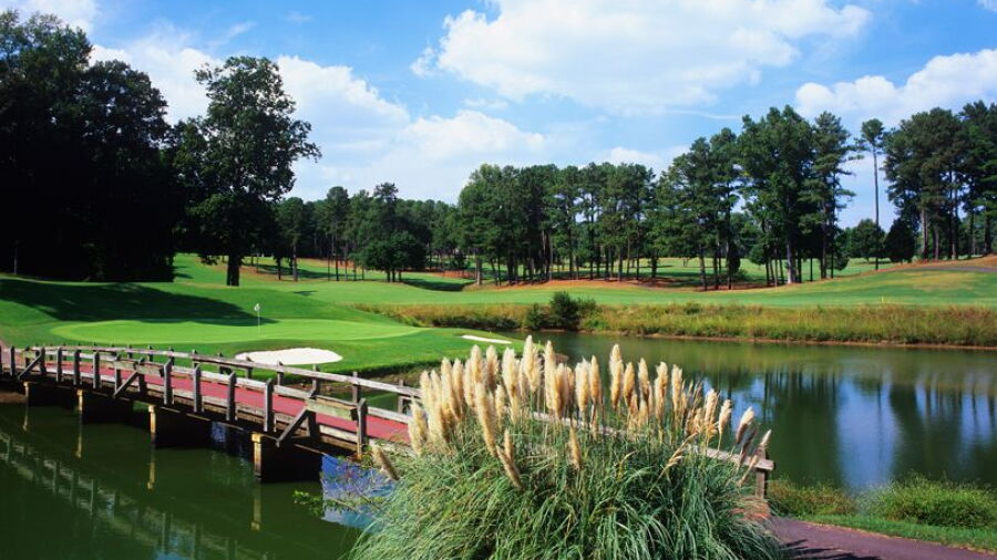 University of Georgia GC: #13