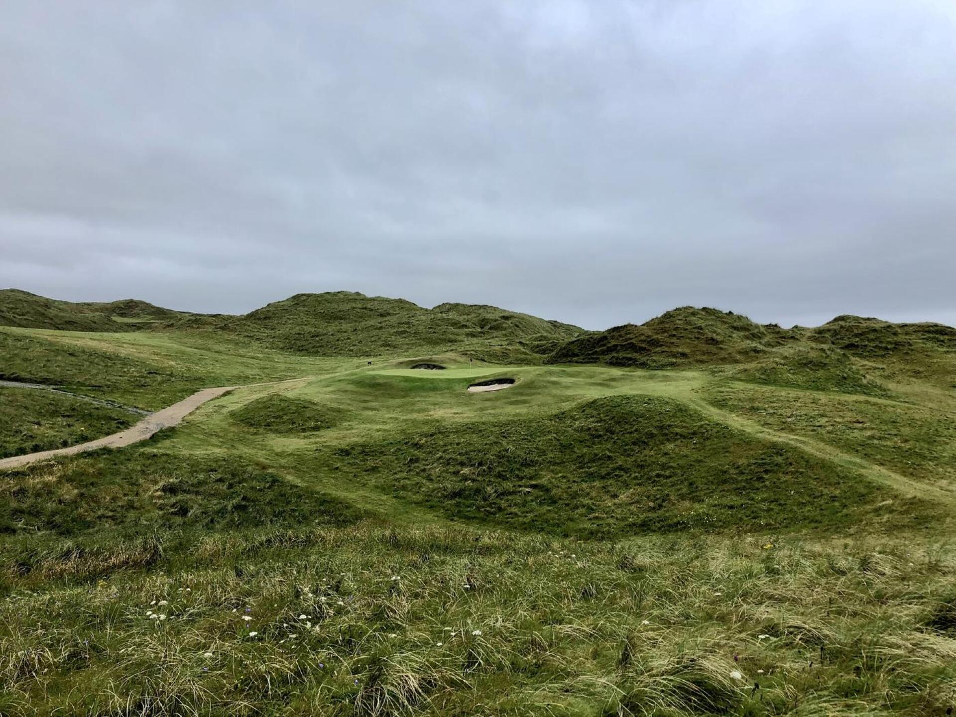 (Photo submitted by BrandonWebb on 08/01/2022)