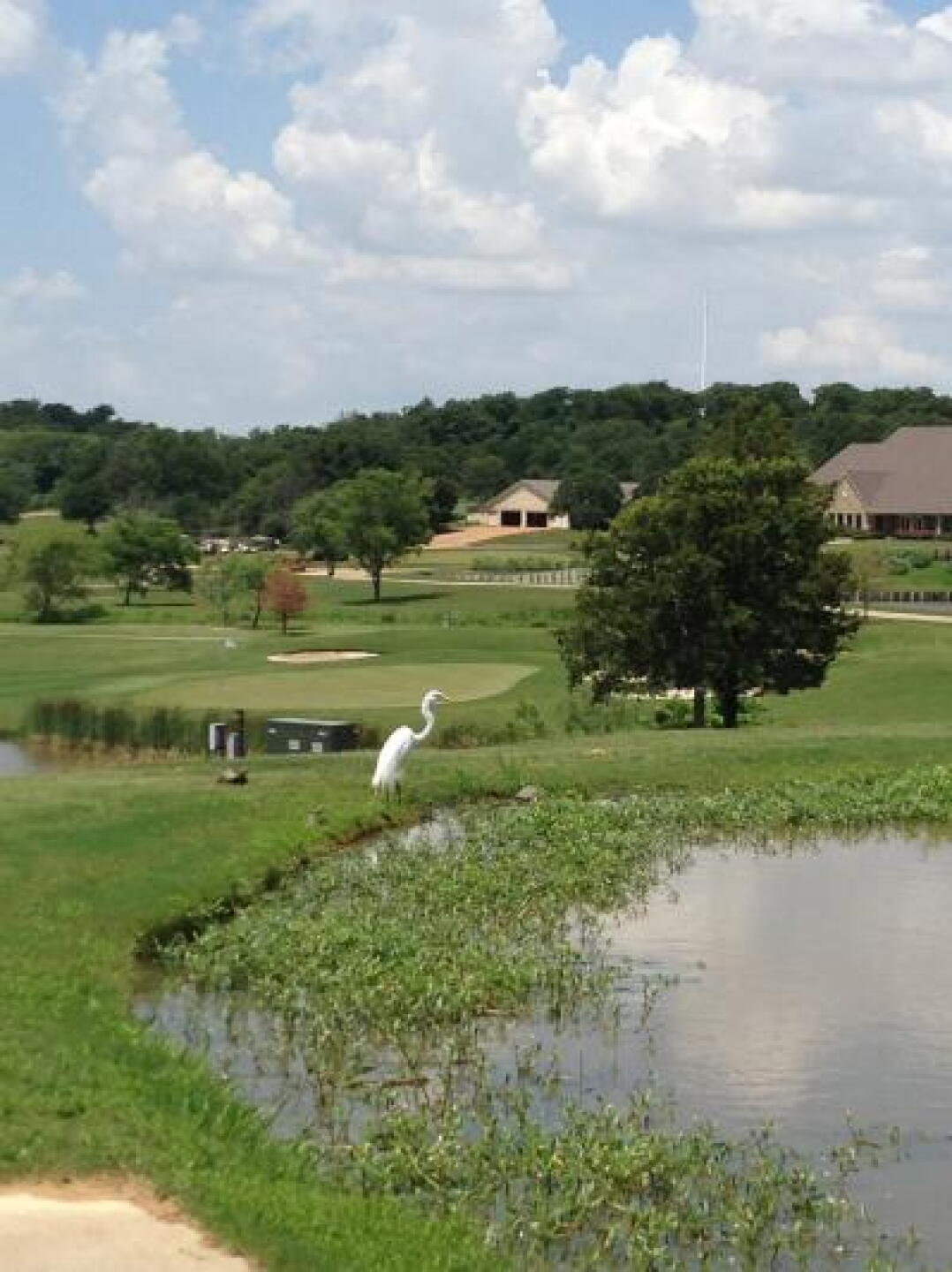 Great looking hole # 11 at Augusta (Photo submitted by u000007429920 on 06/17/2013)